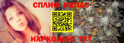 Альфа ПВП Лесосибирск