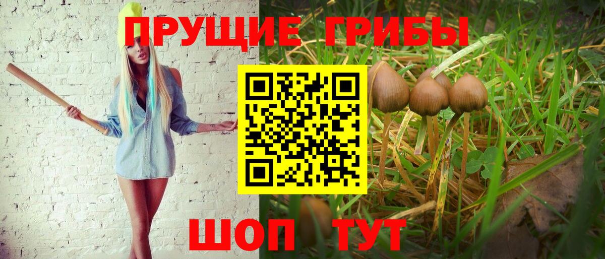 Псилоцибиновые грибы Magic Shrooms Фрязино