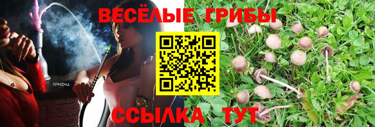 Галлюциногенные грибы Psilocybine cubensis  Вход с VPN  Фрязино 